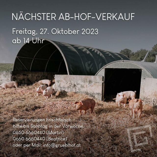 Liebe Kulinarik-Fans, der Herbst 🍂🍁 ist mit großer Verspätung  ins Land gezogen und macht wieder Lust auf Schweinsbraten, Blunzen und Co. - und natürlich auf KNUSPERSTELZEN 🍖 vom Grüblhof 😄. Unser nächster Ab-Hof-Termin findet am Freitag, 27. Oktober um 14 Uhr statt. Wenn ihr eine heiße Stelze bestellt, dann bitte diese bereits um 13 Uhr abholen. Natürlich können dann auch gleich die Fleischbestellungen mitgenommen werden. ☺️🥩🌭 NEU: Wir bieten ab sofort fertig gefüllte Porchetta an 🤩 (italienischer gefüllter Schweinsbauch à la Jamie Oliver) - dieses Produkt ist nur tiefgekühlt verfügbar. Wir freuen uns auf deine Bestellung ☺️ - bis nächste Woche!  Liebe Grüße, Beatrice und Martin 
.
.
. 
#abhofverkauf #grüblhof #ansfelden #freilandhaltung #gutesvombauernhof #regional #tierwohl #ackerschweine
