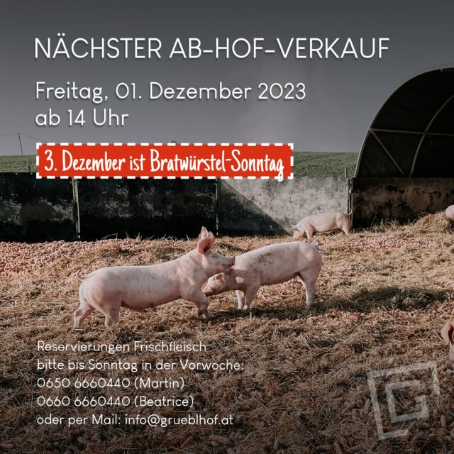 Es ist soweit, der schönste Adventsonntag, nämlich der Bratwürstel-Sonntag, steht bevor 😉 - in Oberösterreich gibt es an diesem Tag traditionell Bratwürstel mit Sauerkraut! 🤩🌭 Zufällig findet am Freitag, den 1. Dezember 2023, auch unser nächster Ab-Hof-Verkauf statt 😉 - damit ihr euch noch mit Bratwürstel mit Fleisch aus Freilandhaltung eindecken könnt (weil es nicht Wurst ist, woher das Fleisch stammt) 😇. 
Wir wünschen euch bis dorthin eine gute Zeit und freuen uns auf eure Bestellungen. Die Bratwurst ist nicht mehr weit entfernt 😎. 

An alle, die spontan vorbeikommen möchten: ACHTUNG, der Petersberger-Berg ist aktuell schon gesperrt (Wintersperre) 😔. Entweder über den Kreisverkehr nach dem Haid-Center hinter der Papierfabrik vorbeifahren und über Nettingsdorf kommen, oder über Ansfelden / Fleckendorf (Wambacherstraße). Liebe Grüße, Martin und Beatrice 👋
.
.
.
#abhof #bratwürstel #bratwürstelsonntag #freilandhaltung #ackerschweine #weilsnichtwurstist #ansfelden #grüblhof