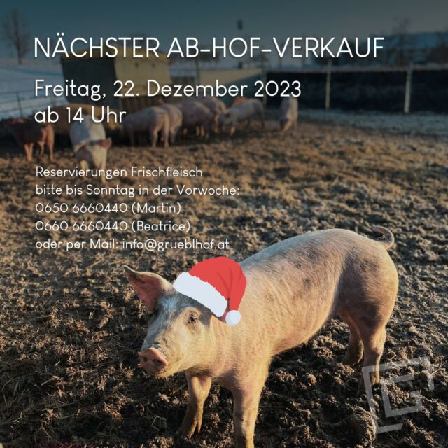 Ho ho ho! Die Weihnachts-Ackerschweine 🐷🐽 freuen sich über euren Besuch. Der letzte Ab-Hof-Termin mit Schwerpunkt Frischfleisch und Bratwürstel findet am 22. Dezember ab 14 Uhr statt. Natürlich könnt ihr vor Ort dann auch im gewohnten Speck- und Wurstsortiment zugreifen. Unsere Vitrine wird gefüllt sein. Wir freuen uns auf eure Vorbestellung bis Sonntag-Abend. Weihnachtliche Grüße, Beatrice und Martin 🎄✨
.
.
.
#weihnachtsverkauf #geschenke #frischleisch #ackerschweine #abhof #ansfelden #grüblhof