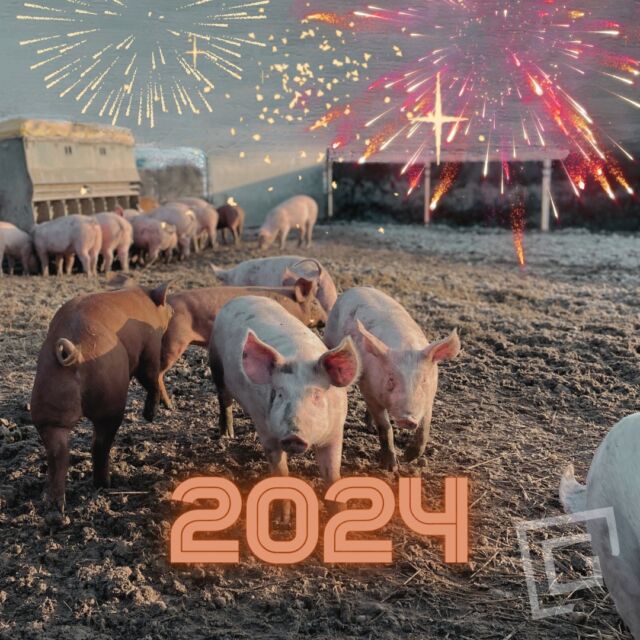 Danke 2023, du warst großartig! ✨ Wir hatten viele arbeitsreiche, glückliche, herausfordernde Momente und freuen uns um so mehr, zu dritt ins neue Jahr 2024 zu starten. Euch allen sagen wir danke für die Treue, denn nur so können wir auch weiterhin die Ackerschweine  in dieser für sie artgerechten Form halten. 🐽
. 
.
.
#happynewyear #ackerschweine #grüblhof #tierwohl #prosit2024 #gutesneuesjahr #dankbar